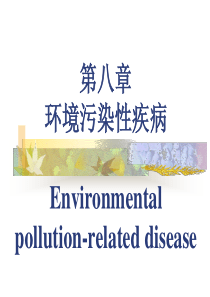 环境卫生学 环境污染性疾病