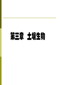 环境土壤学第三章XXXX