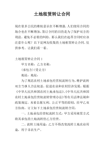 土地租赁转让合同
