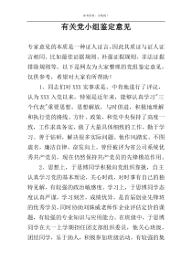 有关党小组鉴定意见