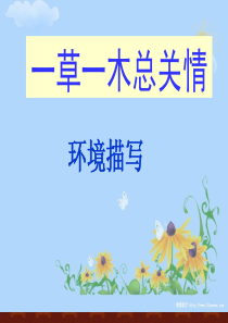 环境描写