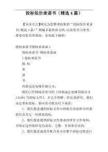 投标低价承诺书（精选4篇）
