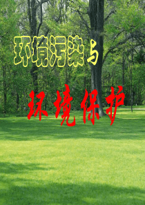 环境污染(课件)-PowerPoint演示文稿