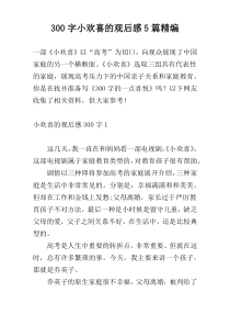 300字小欢喜的观后感5篇精编