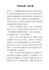 “我是知青”观后感