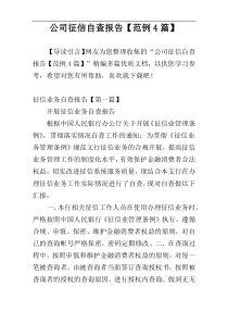 公司征信自查报告【范例4篇】