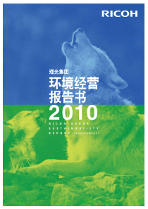 环境经营报告书