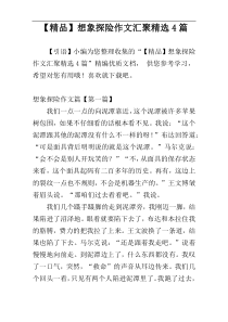 【精品】想象探险作文汇聚精选4篇