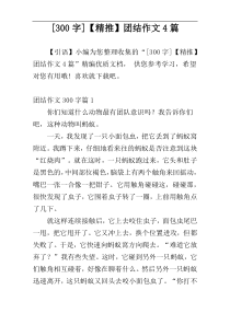 [300字]【精推】团结作文4篇