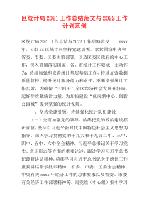 区统计局2021工作总结范文与2022工作计划范例