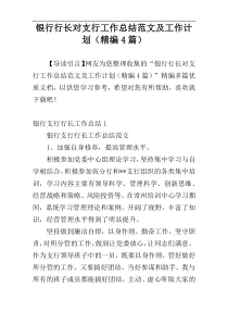 银行行长对支行工作总结范文及工作计划（精编4篇）