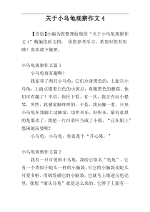 关于小乌龟观察作文4