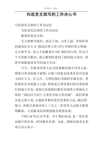 向连党支部写的工作决心书