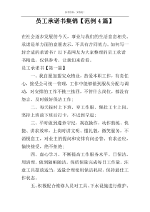 员工承诺书集锦【范例4篇】