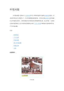 环境问题