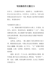 写回报的作文散文5