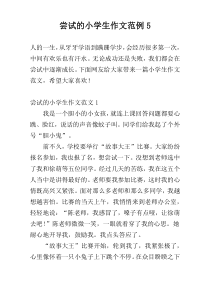 尝试的小学生作文范例5