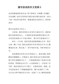 描写尝试的作文范例5