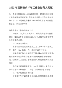 2022年度销售员半年工作总结范文简短