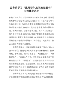 公务员学习“致维吾尔族同胞觉醒书”心得体会范文