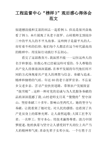 工程监督中心“榜样3”观后感心得体会范文
