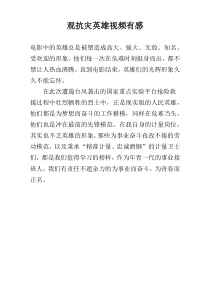 观抗灾英雄视频有感