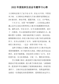 2022年度组织生活会专题学习心得