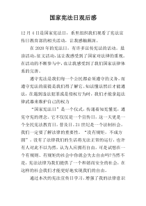 国家宪法日观后感