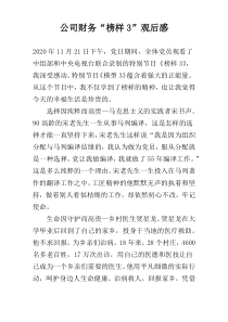 公司财务“榜样3”观后感