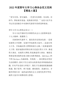2022年度青年大学习心得体会范文范例【精选4篇】