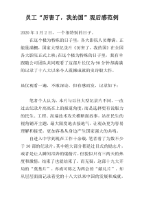 员工“厉害了，我的国”观后感范例