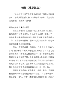 销售（述职报告）