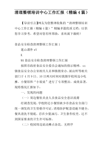 清理整顿培训中心工作汇报（精编4篇）