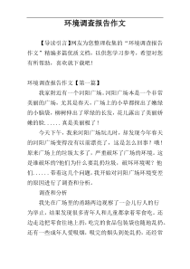 环境调查报告作文