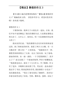 【精品】暑假的作文3