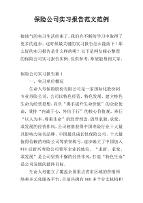 保险公司实习报告范文范例