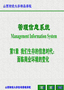 第1章我们生存的信息时代面临商业环境的变化