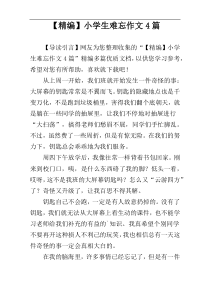 【精编】小学生难忘作文4篇