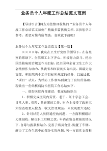 业务员个人年度工作总结范文范例