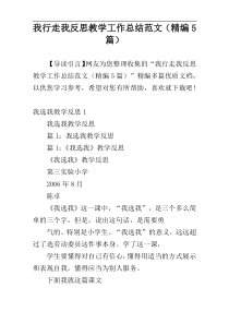 我行走我反思教学工作总结范文（精编5篇）