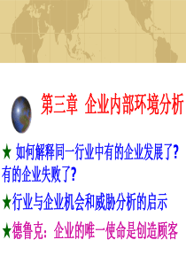 第三讲企业内部环境分析