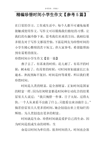 精编珍惜时间小学生作文【参考5篇】