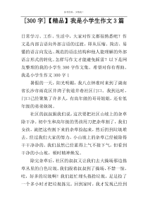 [300字]【精品】我是小学生作文3篇