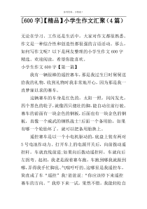 [600字]【精品】小学生作文汇聚（4篇）