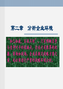 第二章分析企业环境