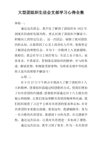 大型团组织生活会支部学习心得全集