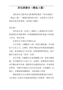 羽毛球感言（精选3篇）