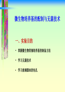 第六章水体污染与自净
