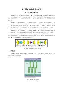 第十一章细胞环境与互作