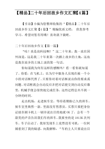 【精品】二十年后回故乡作文汇聚【4篇】